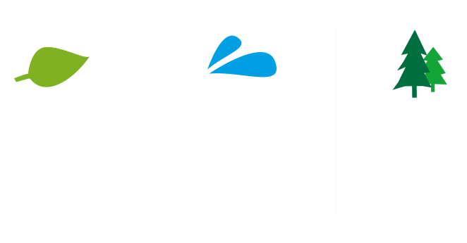 Trail des Hautes-Fagnes